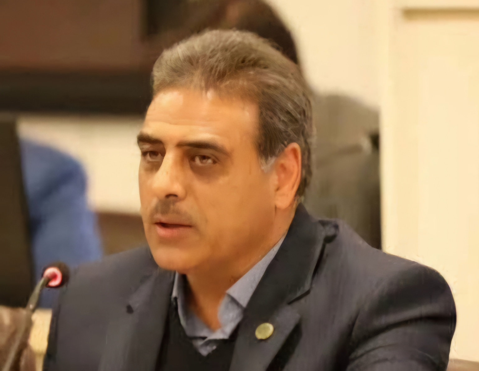 محمد مهدی شجاعی باغینی